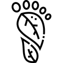 Carbon Footprint Monitoring