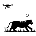 Wildlife Tracking & Conservation Software